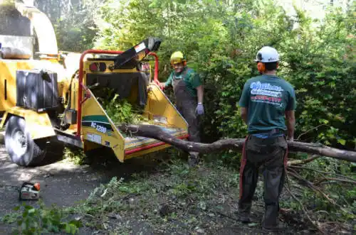 tree services Statesboro